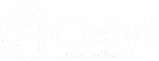 CHAYIL LOGO Transparent white smallest